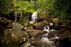 Heartland Cremation - Elaine M. Sleper