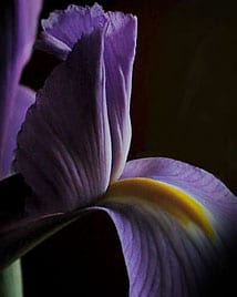 Heartland Cremation - Caroline L. Kilbourne