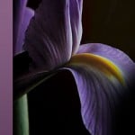 Heartland Cremation - Anna Bernice Teller