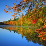 Heartland Cremation - Ardell Lucille Stafford