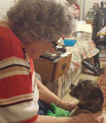 nellie-e1477946288936